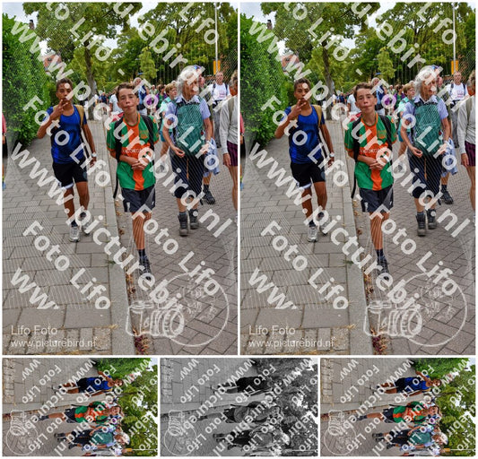 Evenement foto: Nijmeegse Vierdaagse 1162