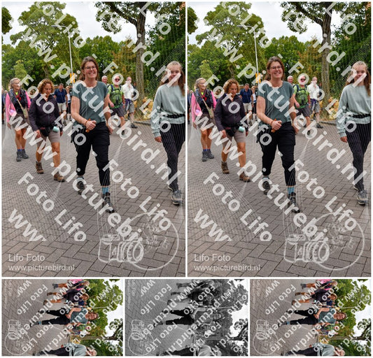 Evenement foto: Nijmeegse Vierdaagse 1162