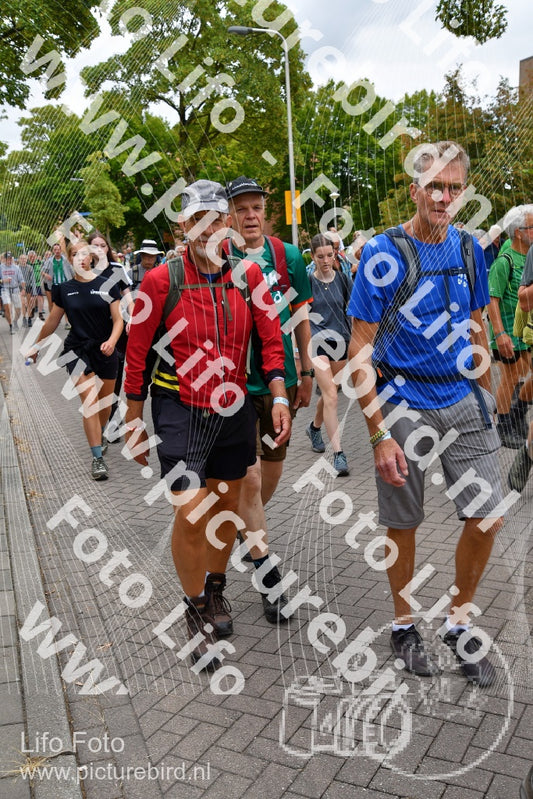 Evenement foto: Nijmeegse Vierdaagse 1162
