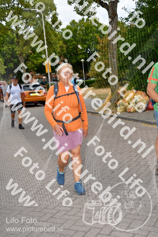 Evenement foto: Nijmeegse Vierdaagse 1160