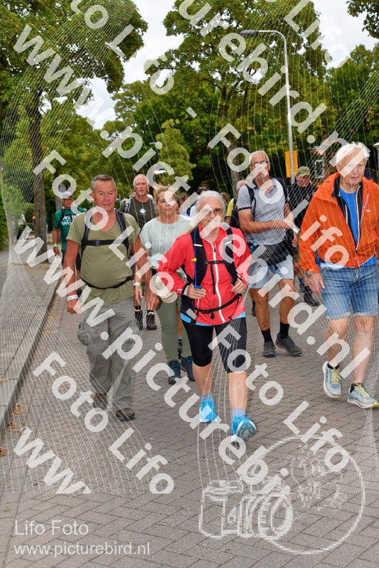 Evenement foto: Nijmeegse Vierdaagse 1160