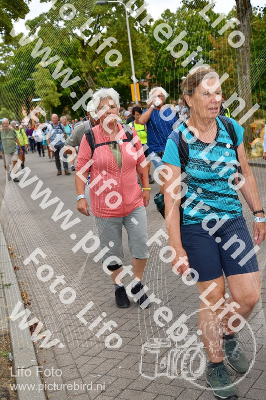 Evenement foto: Nijmeegse Vierdaagse 1160