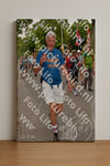 Evenement foto: Nijmeegse Vierdaagse 1160