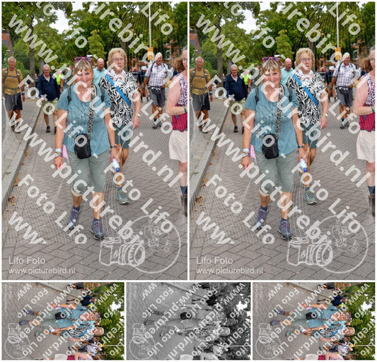 Evenement foto: Nijmeegse Vierdaagse 1160