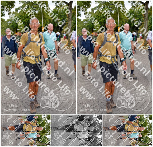 Evenement foto: Nijmeegse Vierdaagse 1160