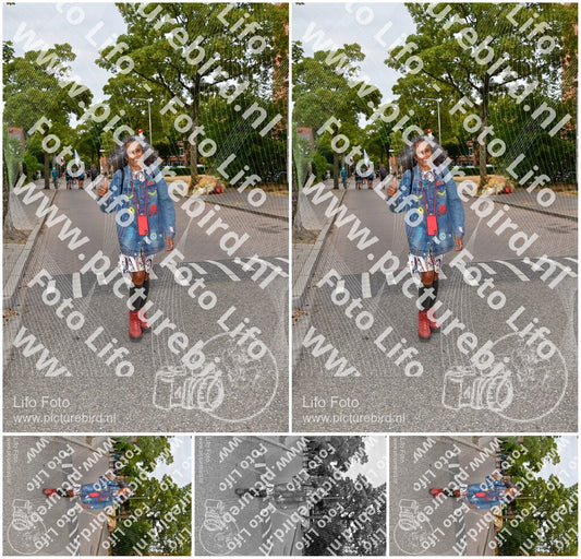 Evenement foto: Nijmeegse Vierdaagse 1159