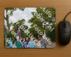 Evenement foto: Nijmeegse Vierdaagse 1159