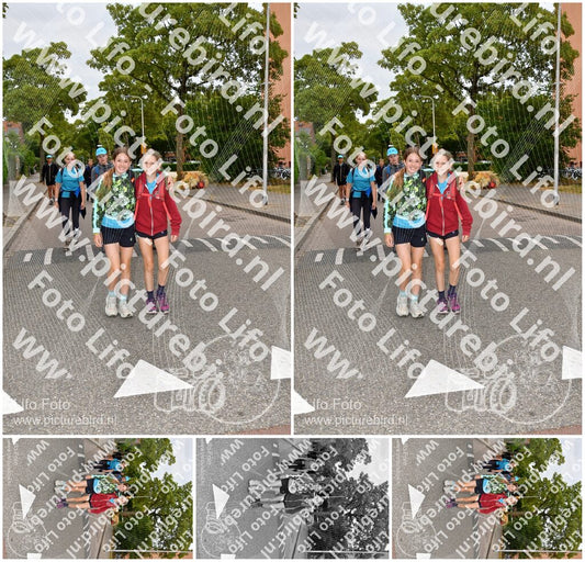 Evenement foto: Nijmeegse Vierdaagse 1159