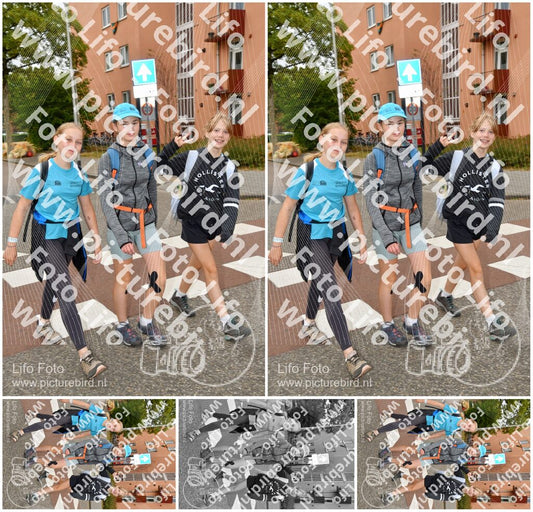 Evenement foto: Nijmeegse Vierdaagse 1159