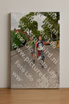 Evenement foto: Nijmeegse Vierdaagse 1159
