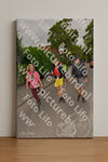 Evenement foto: Nijmeegse Vierdaagse 1159