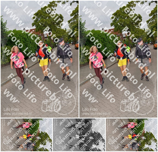 Evenement foto: Nijmeegse Vierdaagse 1159