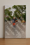 Evenement foto: Nijmeegse Vierdaagse 1159