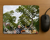 Evenement foto: Nijmeegse Vierdaagse 1159