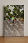 Evenement foto: Nijmeegse Vierdaagse 1159