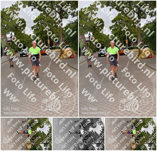Evenement foto: Nijmeegse Vierdaagse 1159