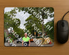 Evenement foto: Nijmeegse Vierdaagse 1159
