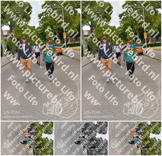 Evenement foto: Nijmeegse Vierdaagse 1159