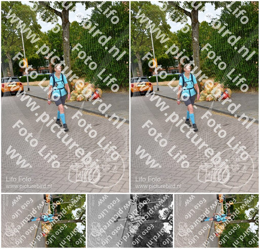 Evenement foto: Nijmeegse Vierdaagse 1159