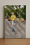 Evenement foto: Nijmeegse Vierdaagse 1159