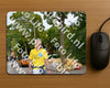 Evenement foto: Nijmeegse Vierdaagse 1159