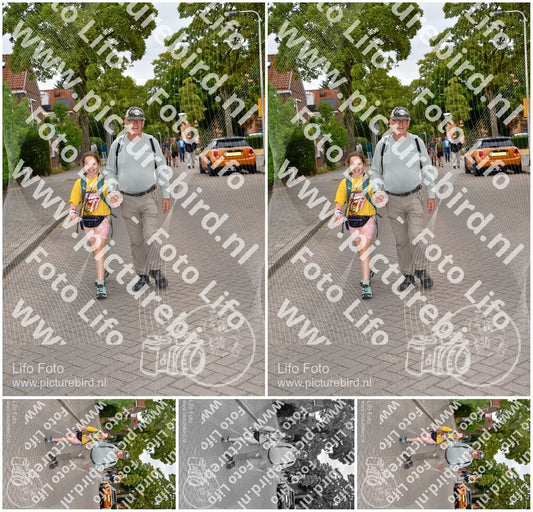 Evenement foto: Nijmeegse Vierdaagse 1159