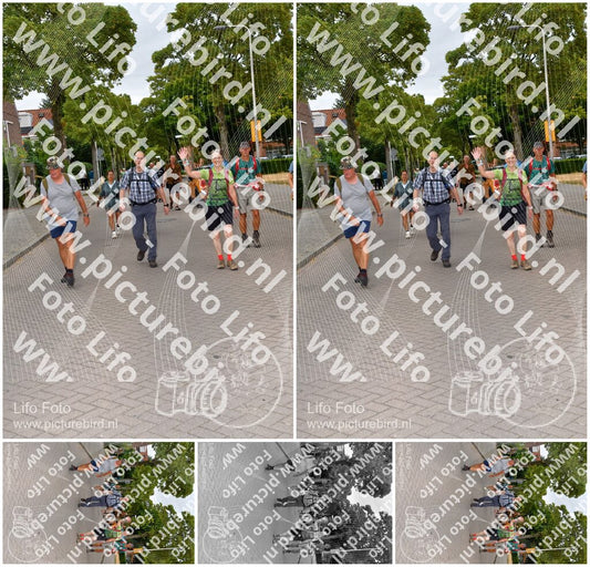 Evenement foto: Nijmeegse Vierdaagse 1159