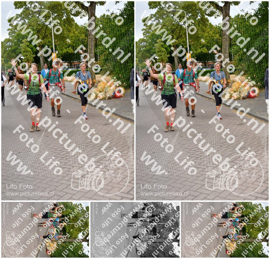 Evenement foto: Nijmeegse Vierdaagse 1159