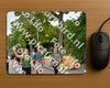 Evenement foto: Nijmeegse Vierdaagse 1159