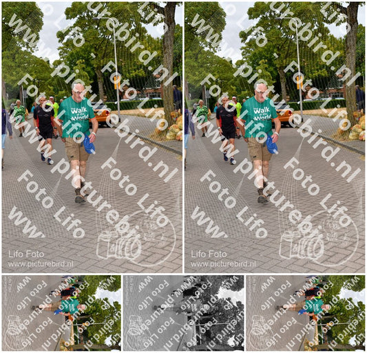 Evenement foto: Nijmeegse Vierdaagse 1159
