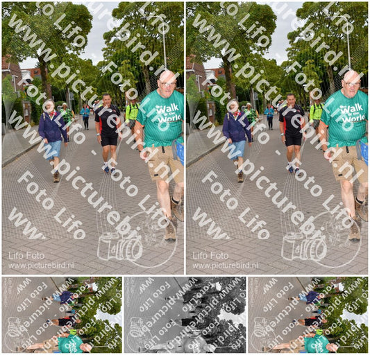 Evenement foto: Nijmeegse Vierdaagse 1159