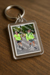 Evenement foto: Nijmeegse Vierdaagse 1159