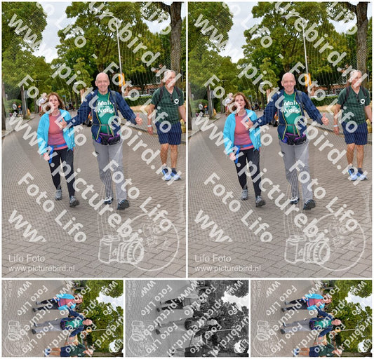 Evenement foto: Nijmeegse Vierdaagse 1159