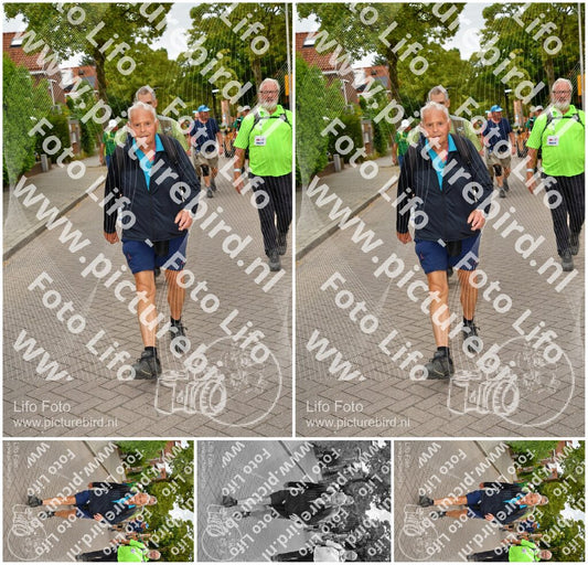 Evenement foto: Nijmeegse Vierdaagse 1159
