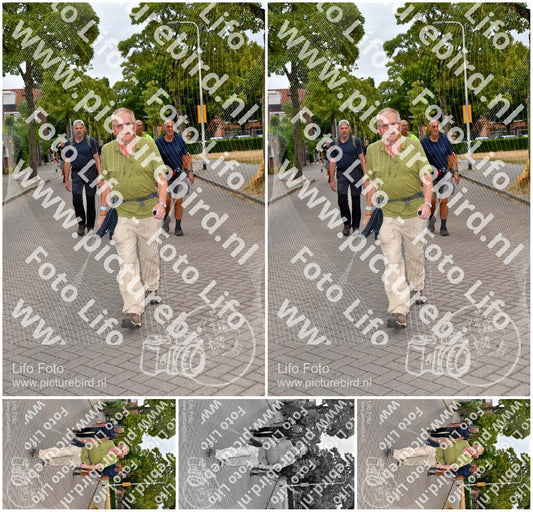 Evenement foto: Nijmeegse Vierdaagse 1159