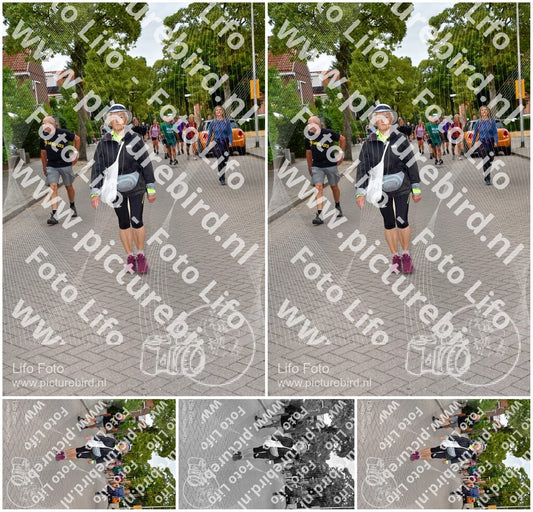 Evenement foto: Nijmeegse Vierdaagse 1159