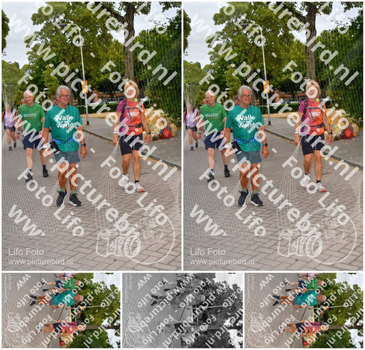 Evenement foto: Nijmeegse Vierdaagse 1159