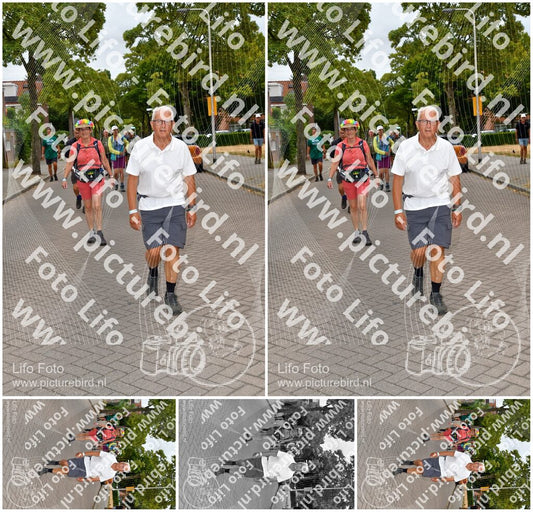 Evenement foto: Nijmeegse Vierdaagse 1159