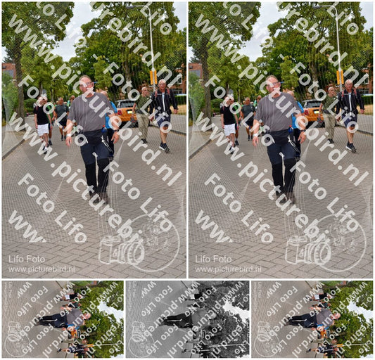 Evenement foto: Nijmeegse Vierdaagse 1159