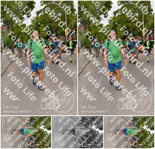 Evenement foto: Nijmeegse Vierdaagse 1159