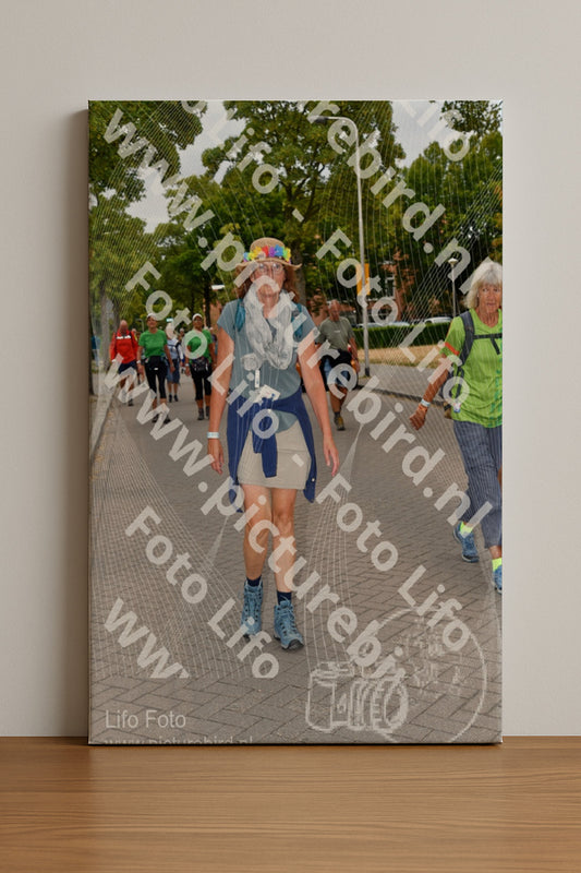 Evenement foto: Nijmeegse Vierdaagse 1159