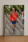 Evenement foto: Nijmeegse Vierdaagse 1159
