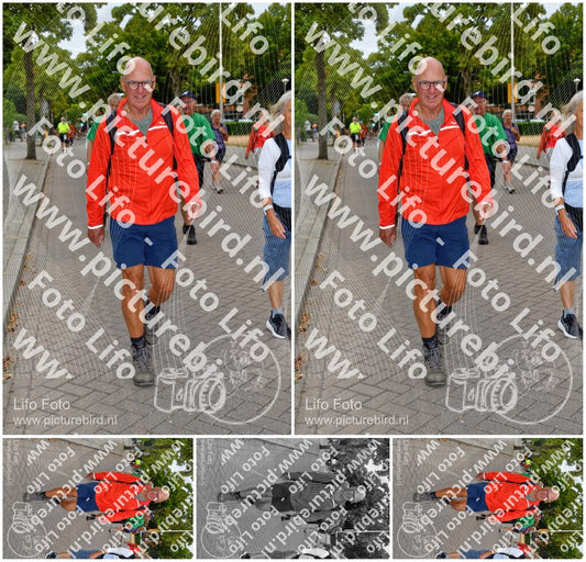 Evenement foto: Nijmeegse Vierdaagse 1159