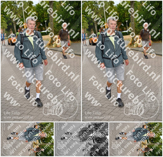 Evenement foto: Nijmeegse Vierdaagse 1159