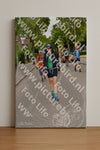 Evenement foto: Nijmeegse Vierdaagse 1159