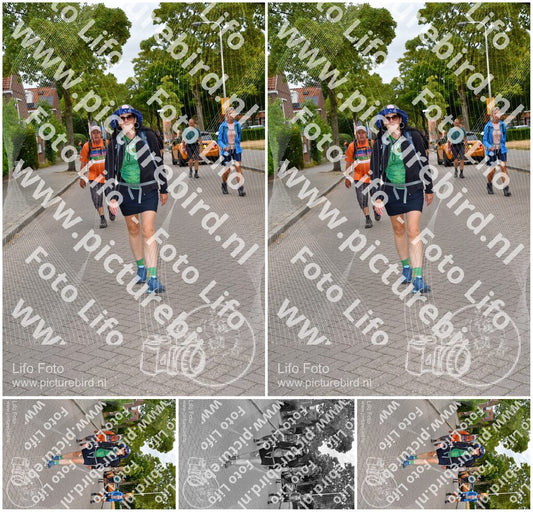 Evenement foto: Nijmeegse Vierdaagse 1159