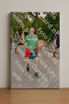 Evenement foto: Nijmeegse Vierdaagse 1159