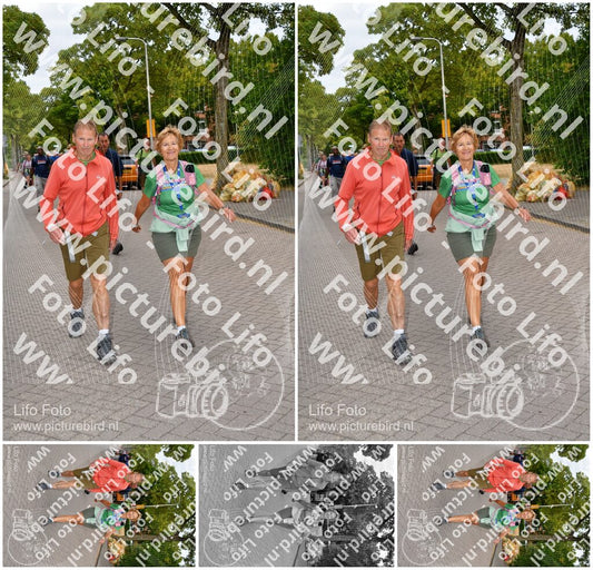 Evenement foto: Nijmeegse Vierdaagse 1159