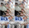 Evenement foto: Nijmeegse Vierdaagse 1134