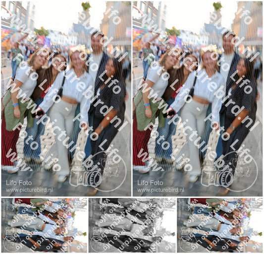 Evenement foto: Nijmeegse Vierdaagse 1134